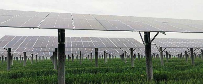 Projet de 30 MW à Tengzhou, province du Shandong