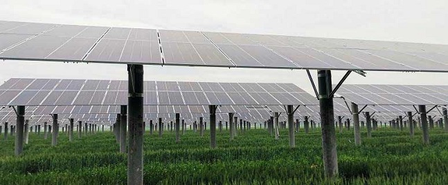 Proyecto de 30MW en Tengzhou, provincia de Shandong